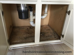 Water Damage (Under Kitchen Sink) beginner real estate investor how to invest in real estate