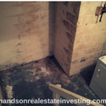 Chasing #Foreclosures! The #Dungeon House! #foreclosure #realestate